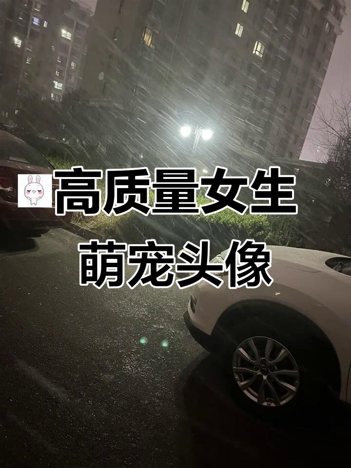 适合女生的萌宠头像推荐,校园风格高质量ins风