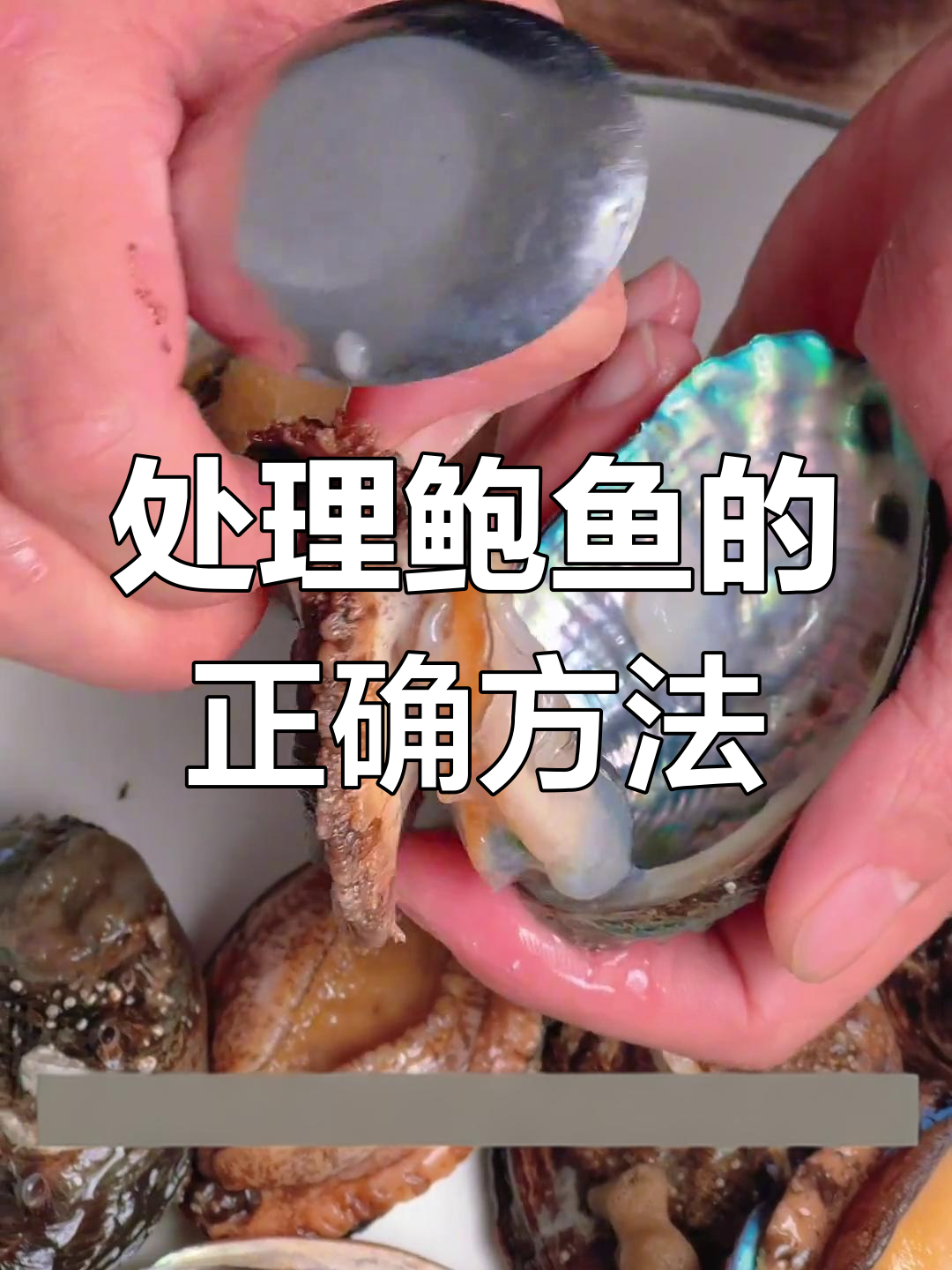 鲍鱼不能吃的部位,你学会了吗?