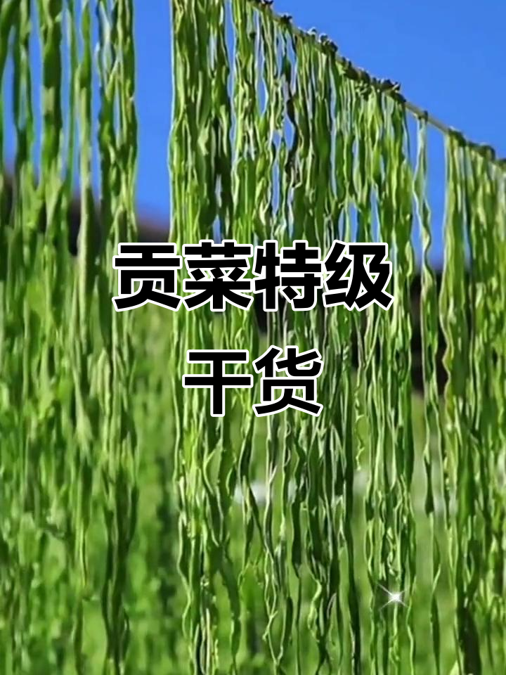 特级贡菜干,农家新鲜脱水苔菜,500克