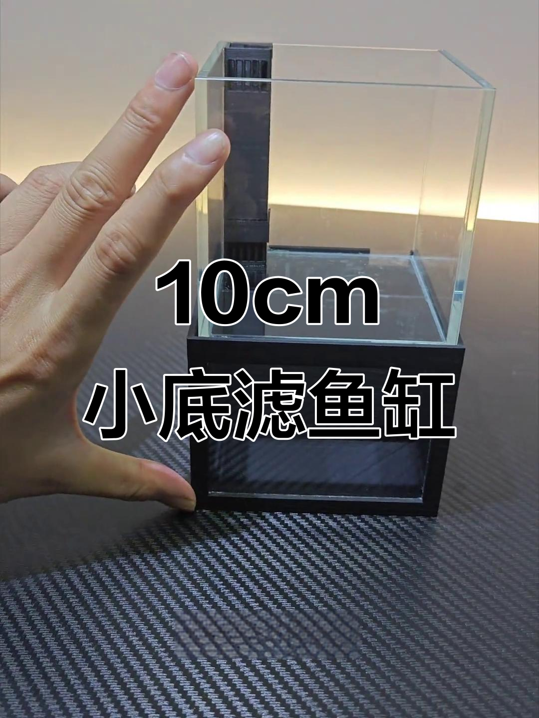 小巧底滤鱼缸制作揭秘，十厘米双缸设计能满足你吗？