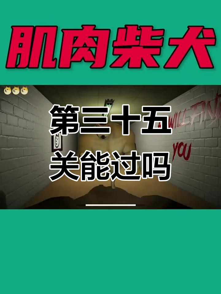 挑战第三十五关,肌肉柴犬哥能否轻松过关?