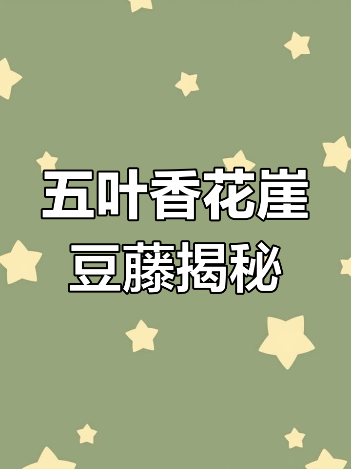 五叶鸡血藤与三叶的区别,哪种更好?