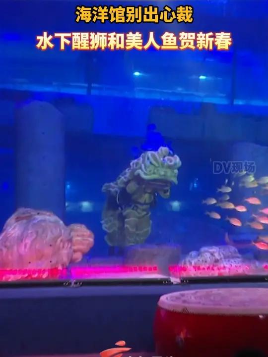 海洋馆别出心裁,水下醒狮和美人鱼贺新春
