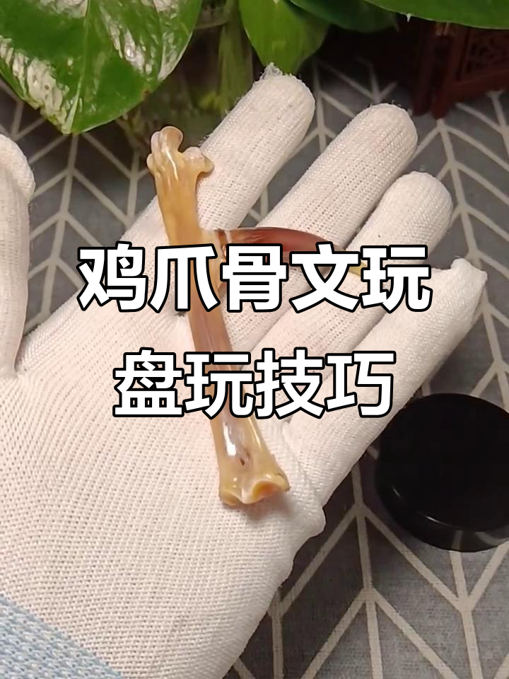 鸡爪骨文玩如何盘玩与保养,避免开裂加速包浆