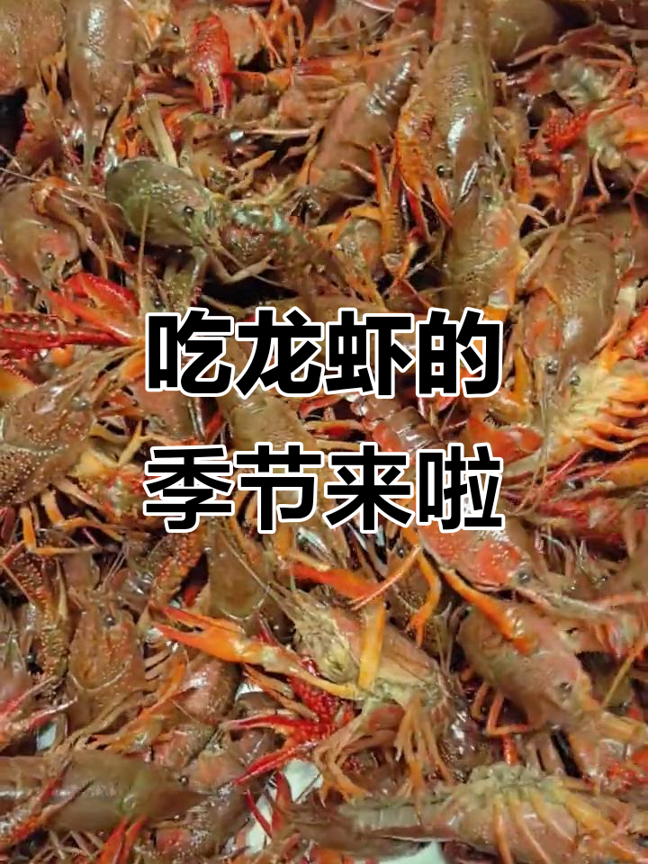 鲜活小龙虾,盐水煮一锅美味
