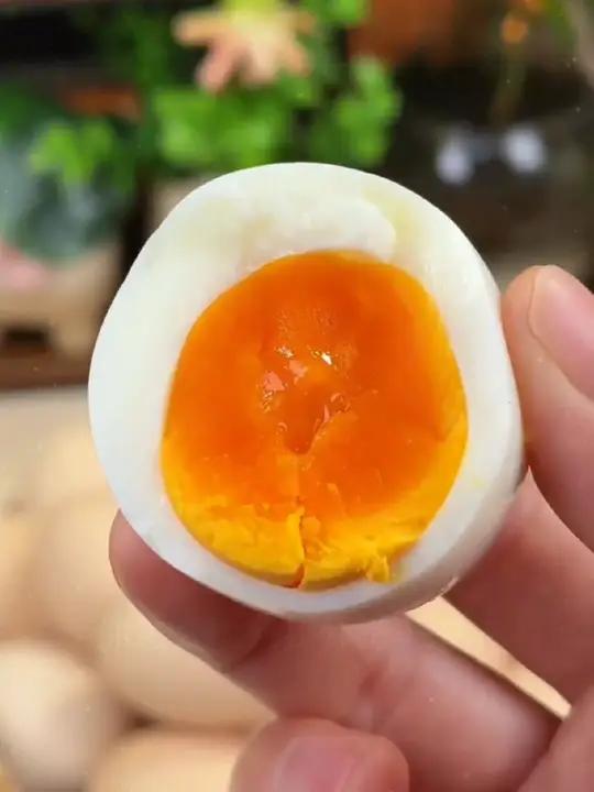 「新品50枚」山林散养土鸡蛋新鲜鸡蛋营养健康每日甄选40-50克鲜蛋鸡蛋好物推荐山林散养土