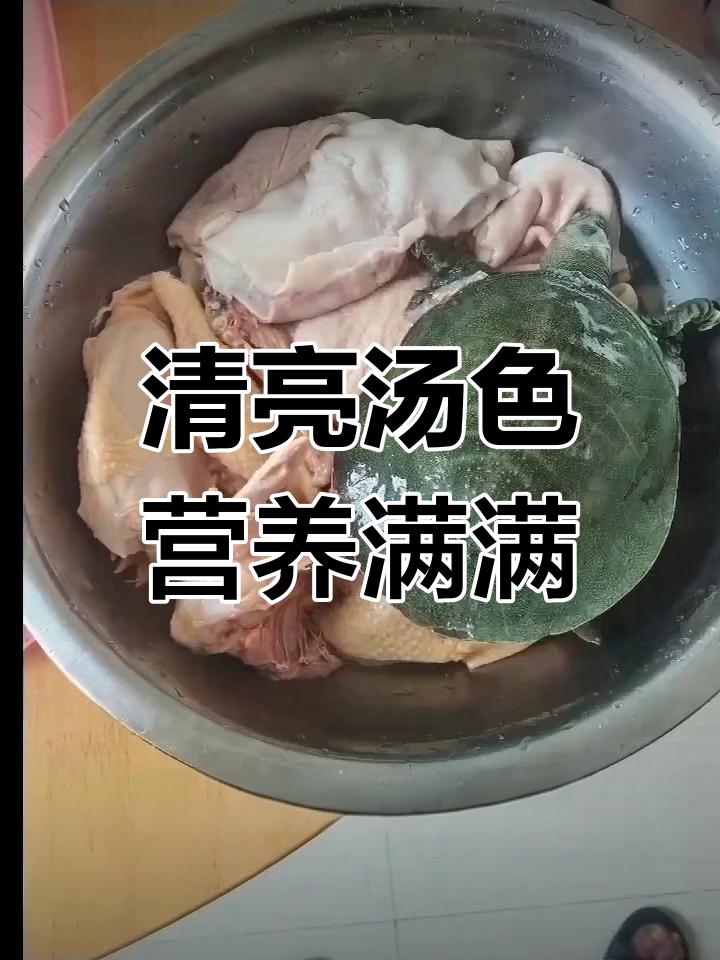 甲鱼炖鸡,滋补大餐