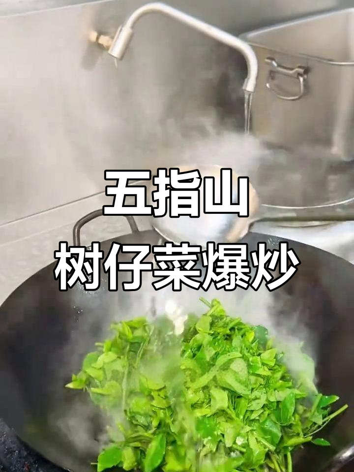 猪油爆炒树仔菜,五指山野菜的独特美味