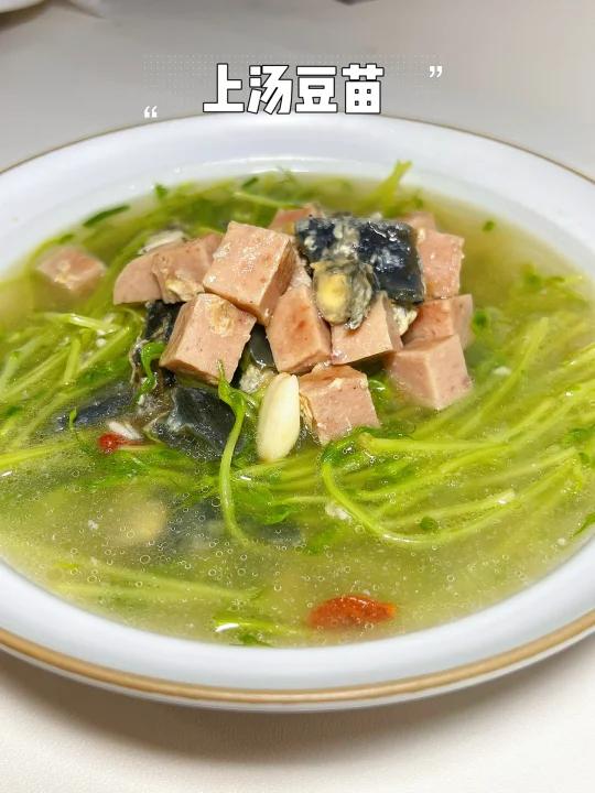 广东人夏天必喝 上汤豆苗 汤鲜味浓,巨好喝