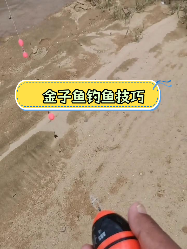 升级版针鱼钓组分享