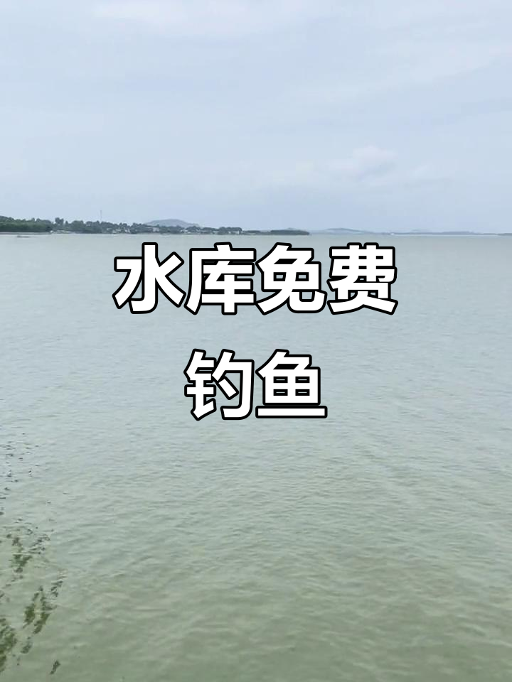 峡山水库鱼群聚集,免费垂钓引来众多热情钓鱼者