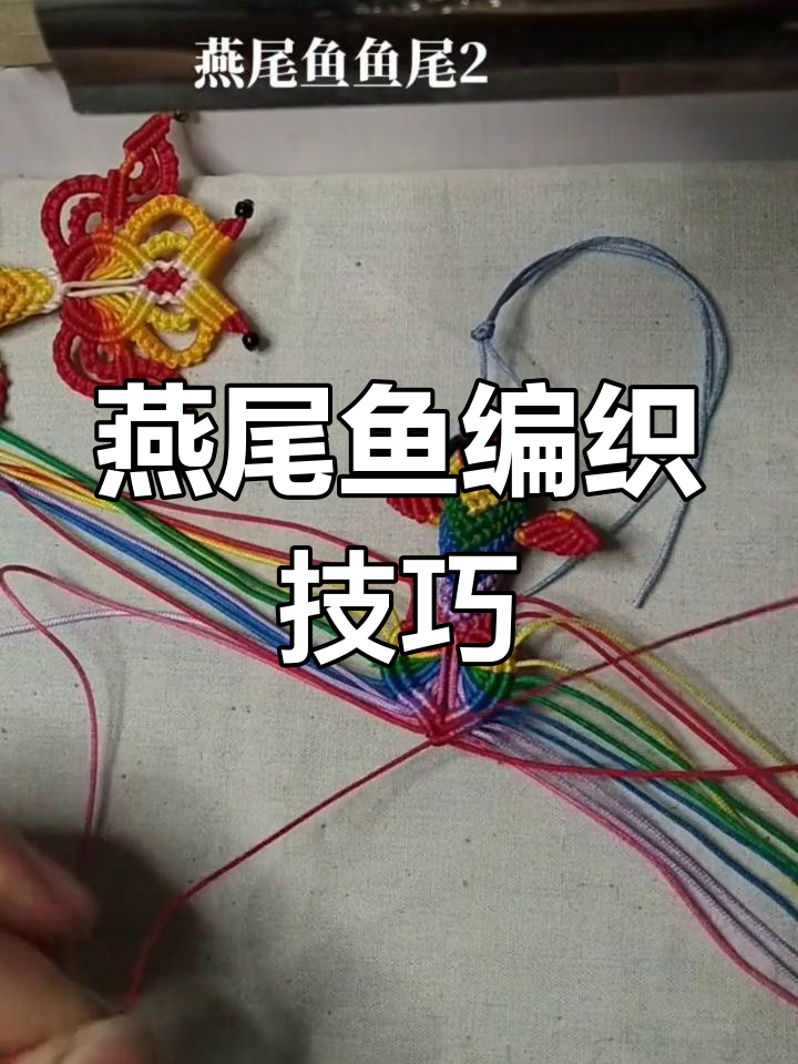 燕尾鱼教程:从斜卷结到鹊头结的完美演绎