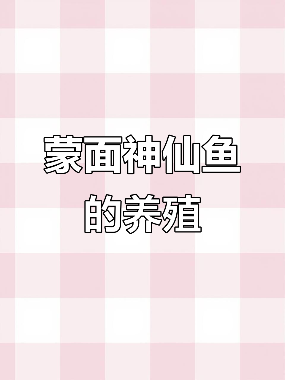 蒙面神仙鱼:贼仙的成长与繁殖揭秘