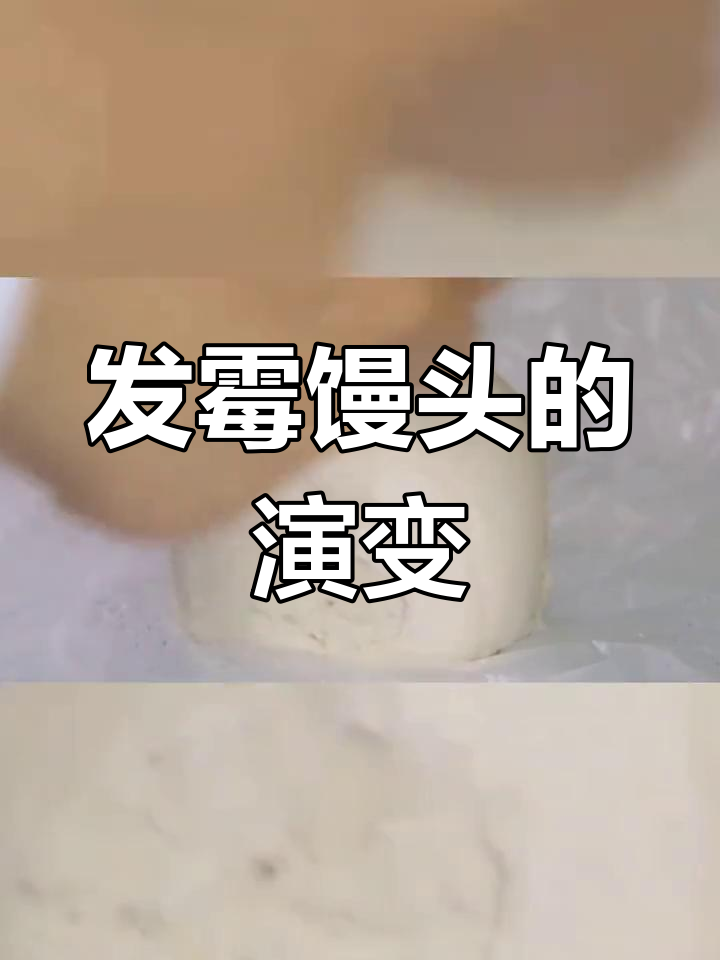 馒头发霉全过程揭秘,如何防止食品变质