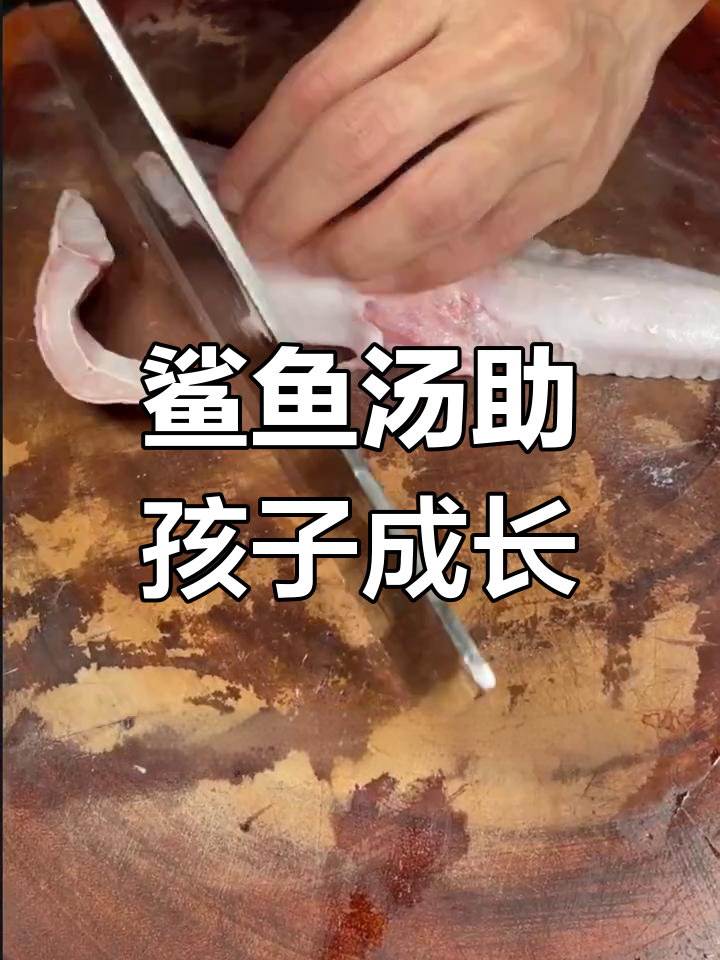 小孩长个必备!鲨鱼汤助力骨骼发育,营养满满