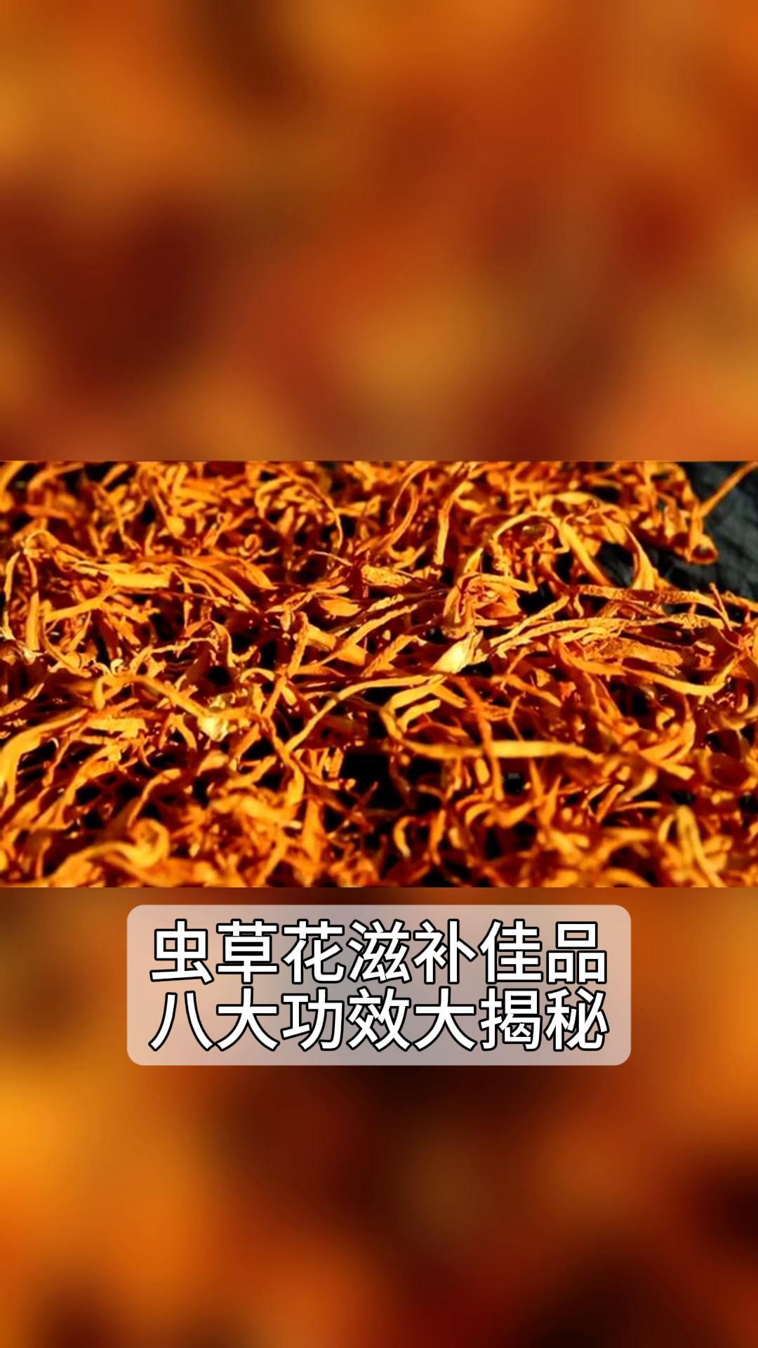 虫草花滋补佳品,八大功效大揭秘!