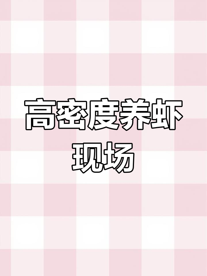 循环水养殖场揭秘:高密度对虾养殖设备与流程