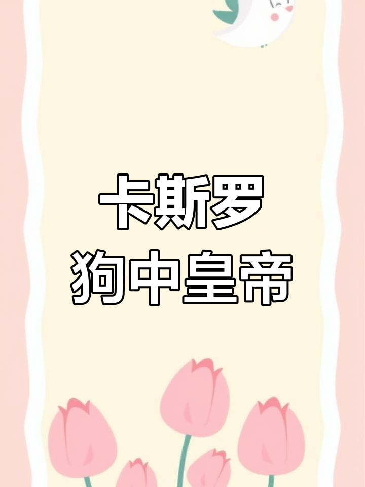 顶级猛犬卡斯罗,眼神一变全场震撼