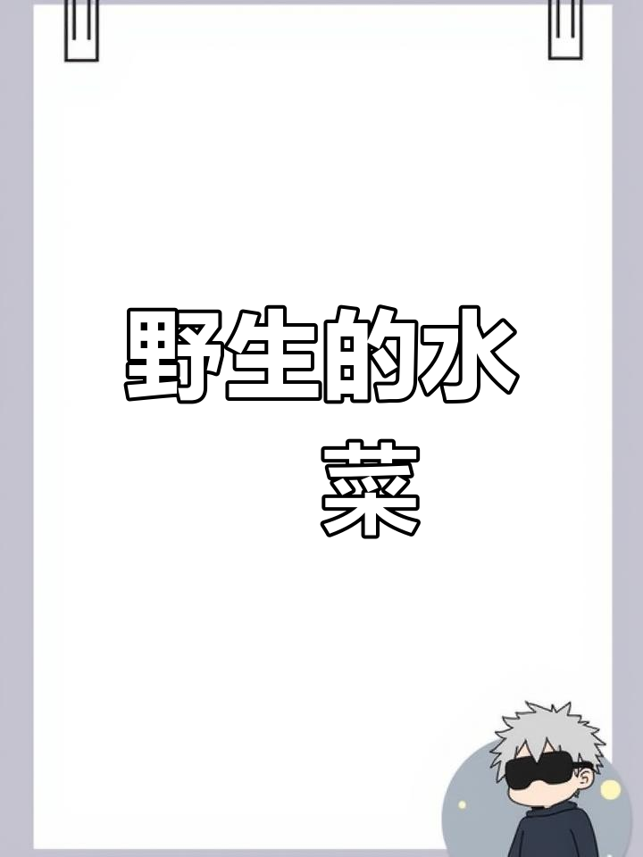 野生旱菜:像荠菜的宝藏,营养丰富又美味