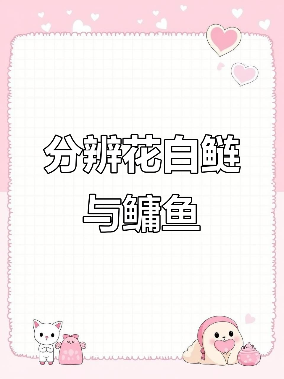 花白鲢与鳙鱼的区别,如何区分花白鲢和鳙鱼