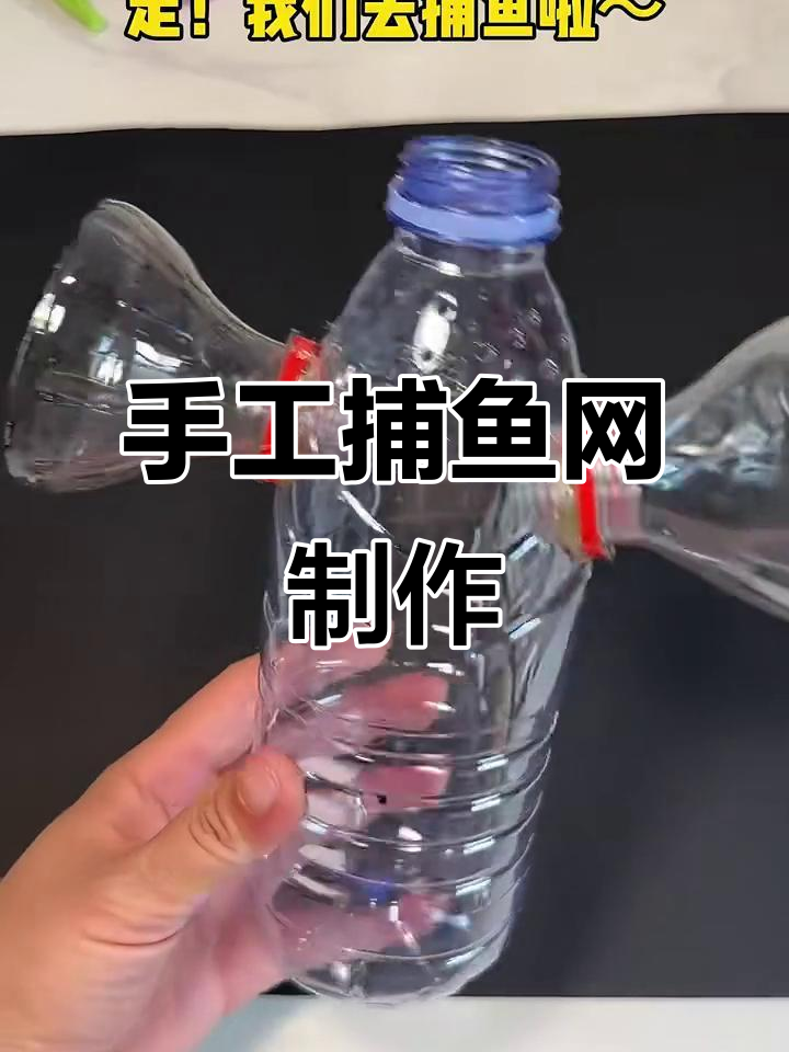 自制捕鱼笼，轻松抓到小鱼！