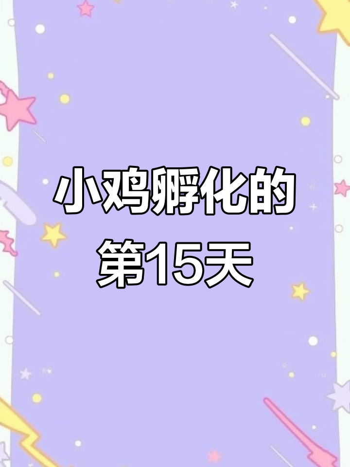 15天孵化小鸡,鹅蛋壳里的奇迹时刻