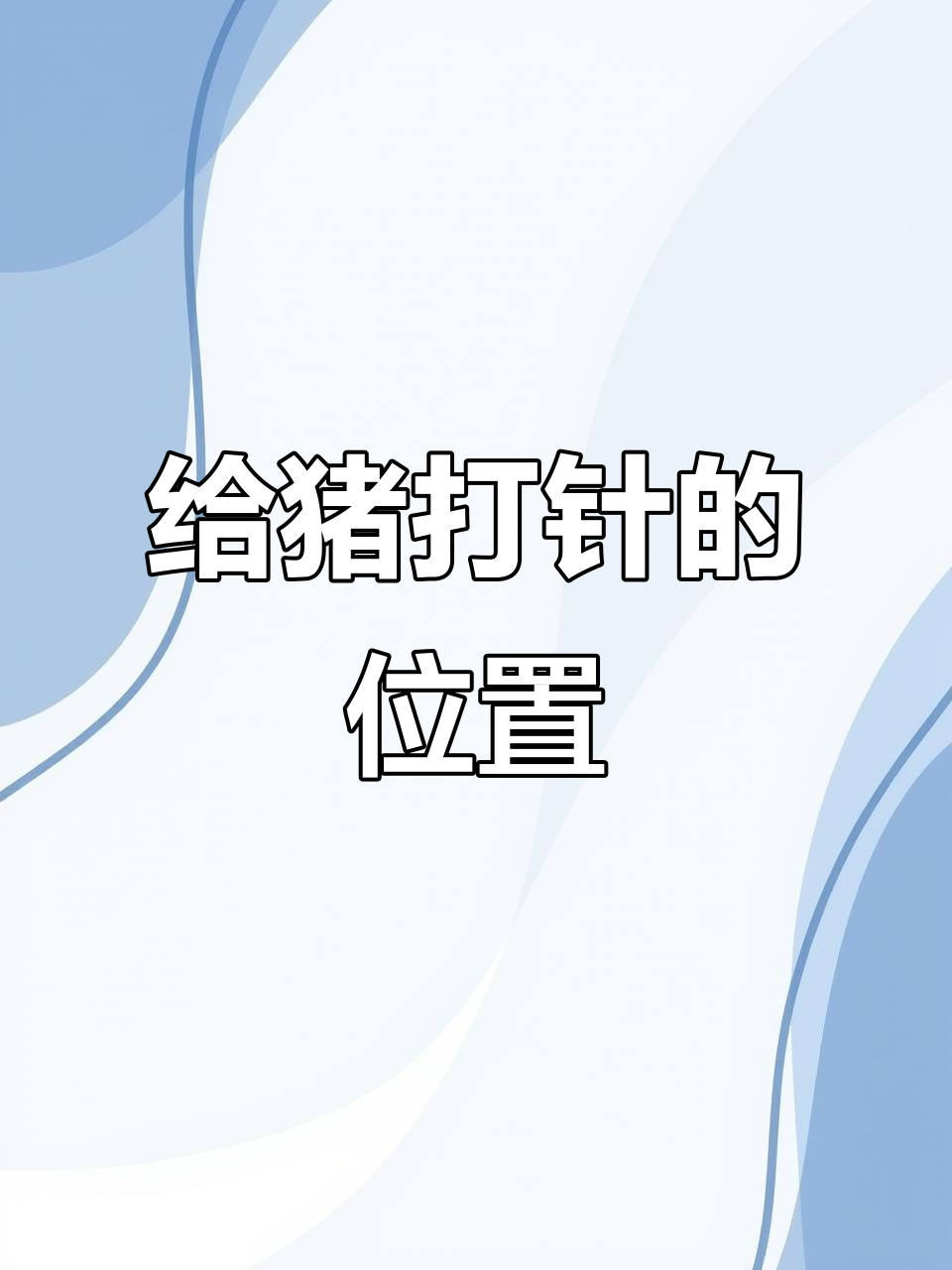 猪打针的正确位置,避免坐骨神经损伤