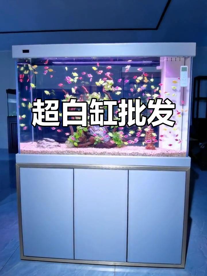 太原超白缸批发,利忠水族与金谷幽兰联手打造高品质鱼缸