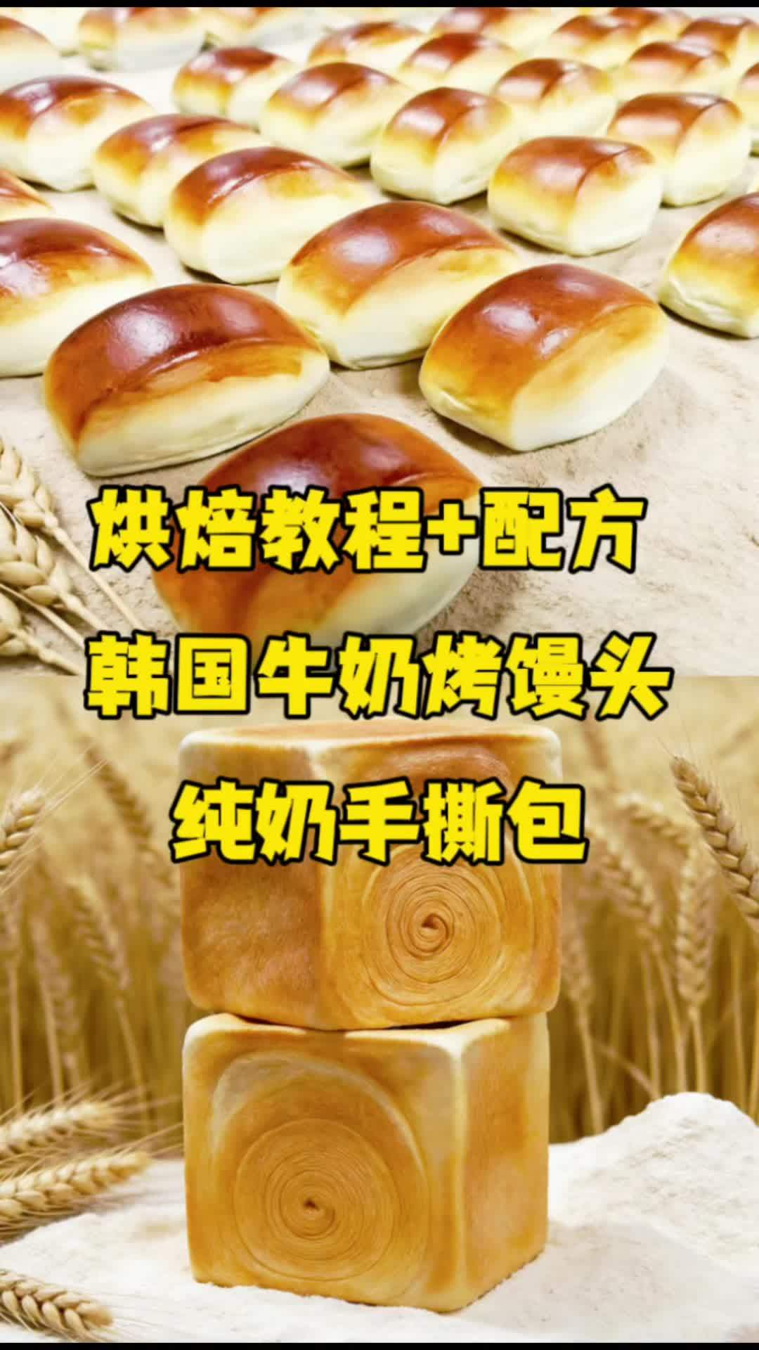 #真实生活分享计划 韩国牛奶烤馒头 纯奶手撕包 #烘焙人的日常 #烘焙培训 #烘焙教程 #