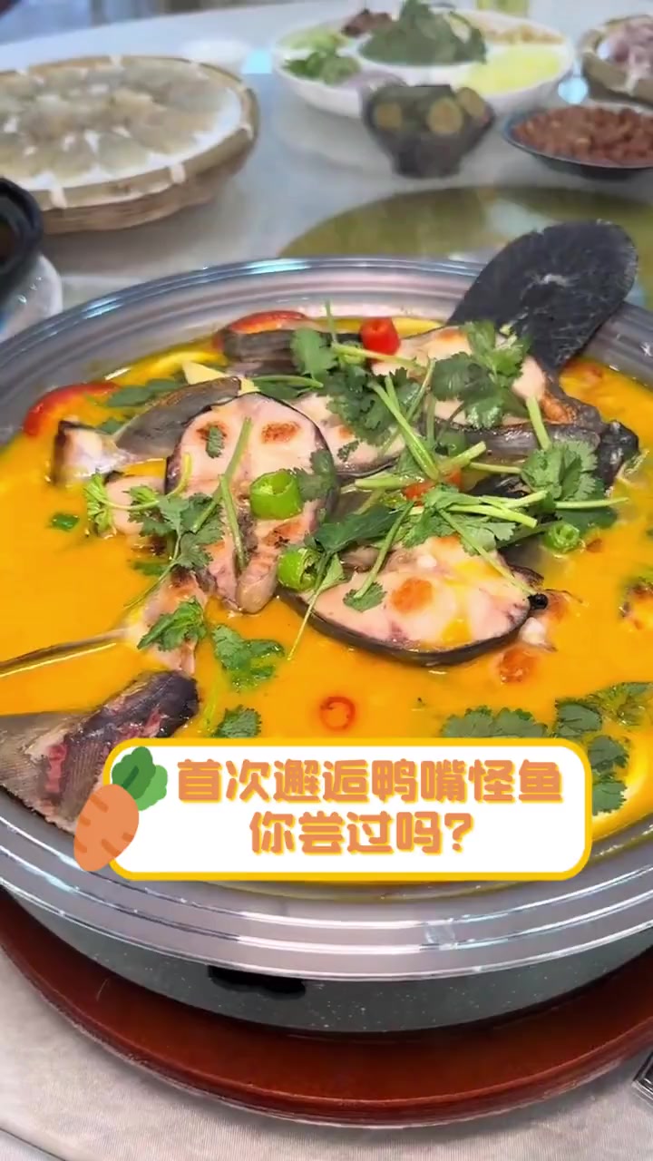 首次邂逅鸭嘴怪鱼,你尝过吗?