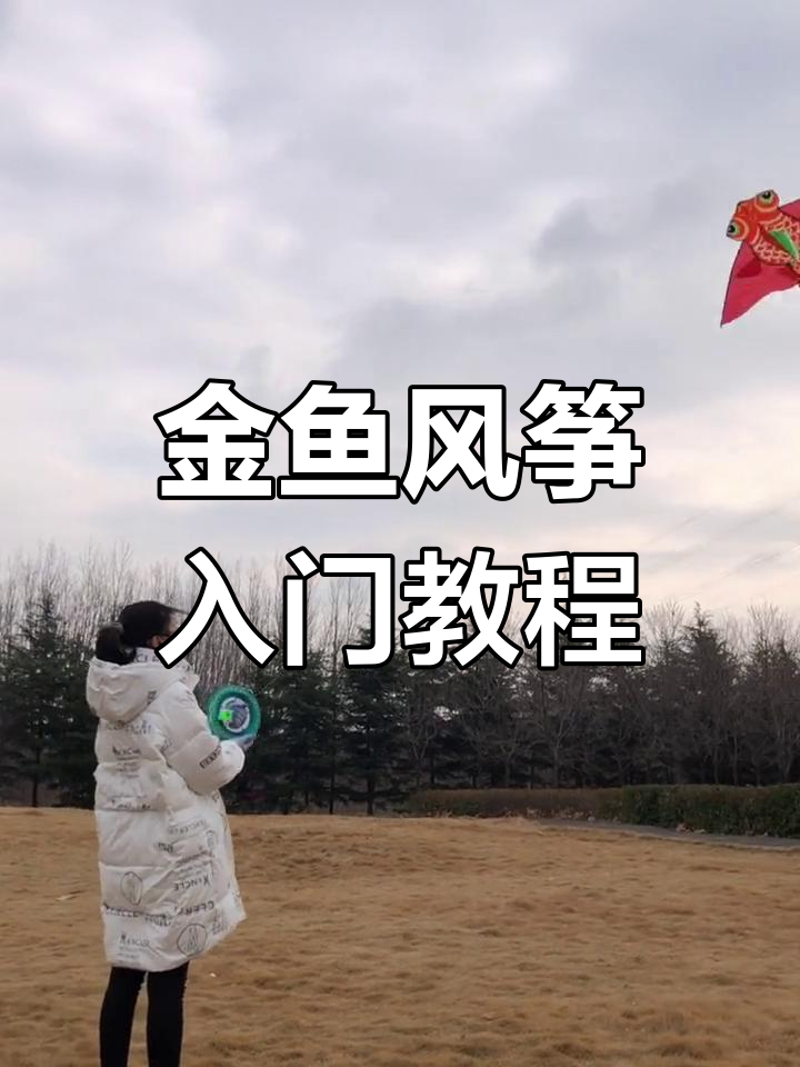 风筝新手必看:1.6米金鱼放飞全攻略