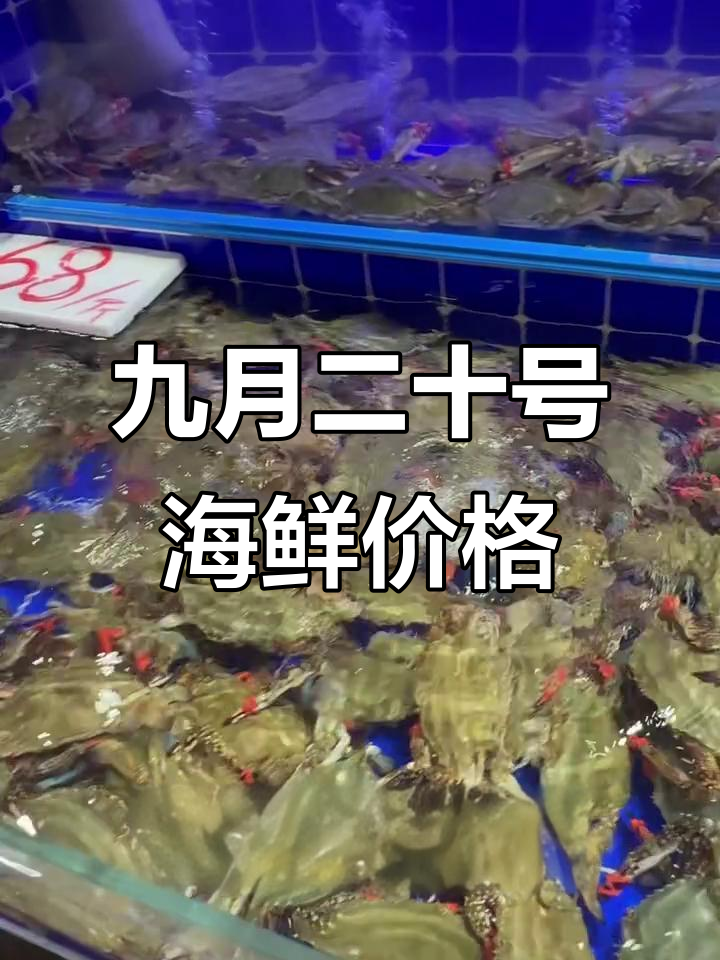 9月20日海鲜市场报价,花螺、青口贝等一应俱全