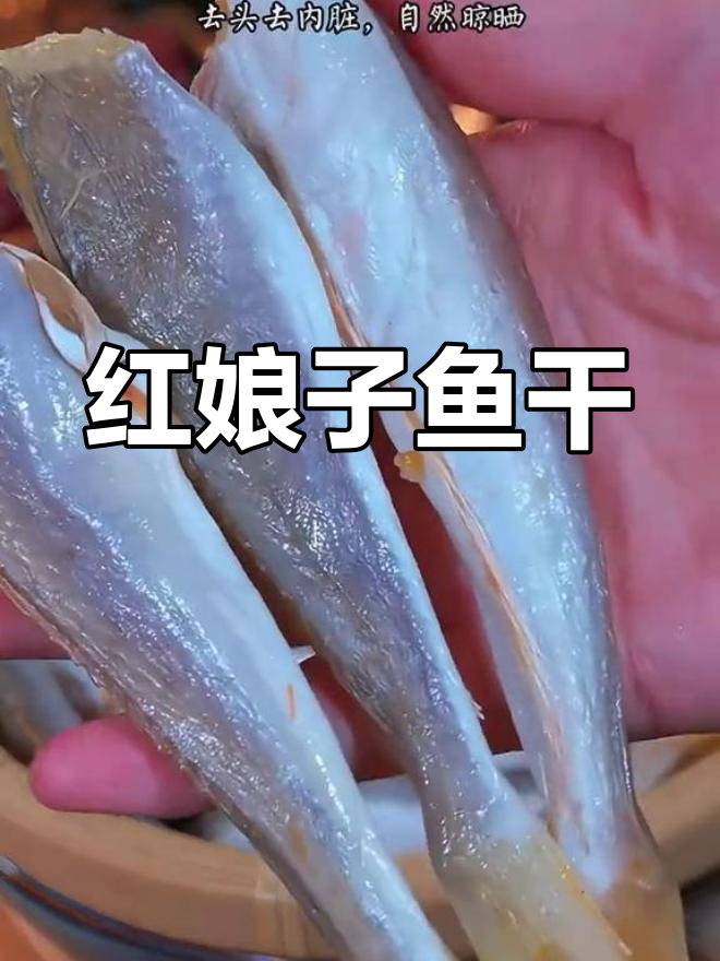 湛江特产红娘鱼,深海无刺,煎烧皆宜