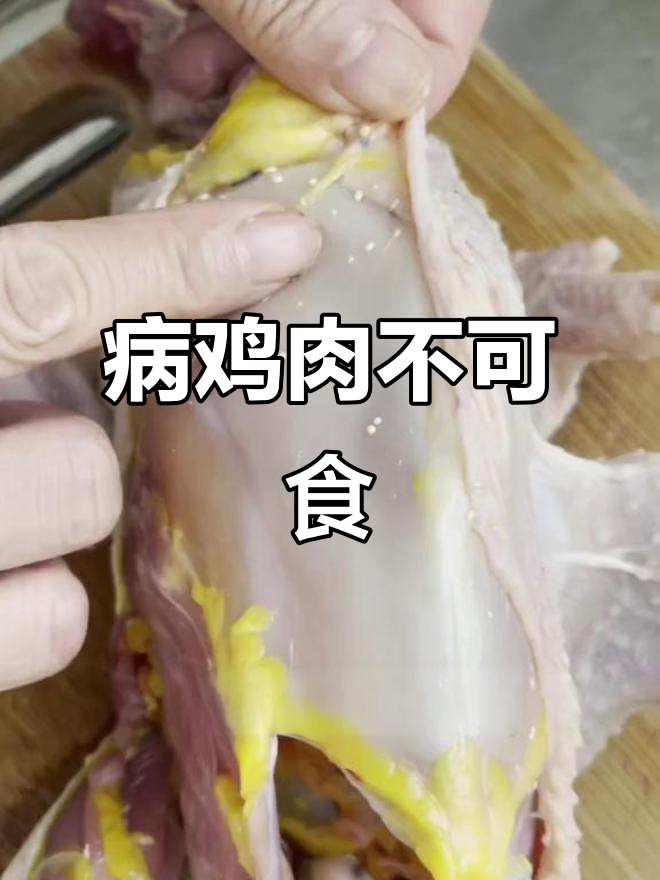 这些鸡不能吃,腹水、脂肪肝病变都别碰