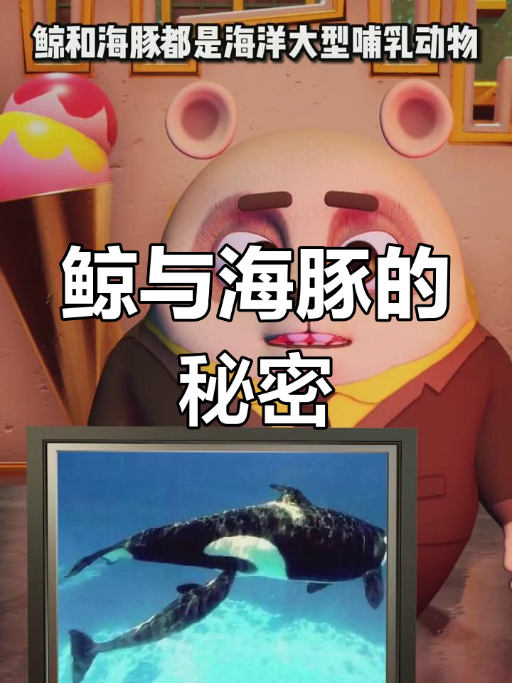 鲸和海豚为何不是鱼?