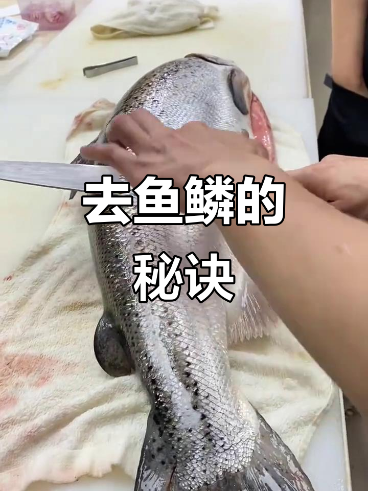 掌握去鱼鳞技巧,轻松去除三文鱼的皮