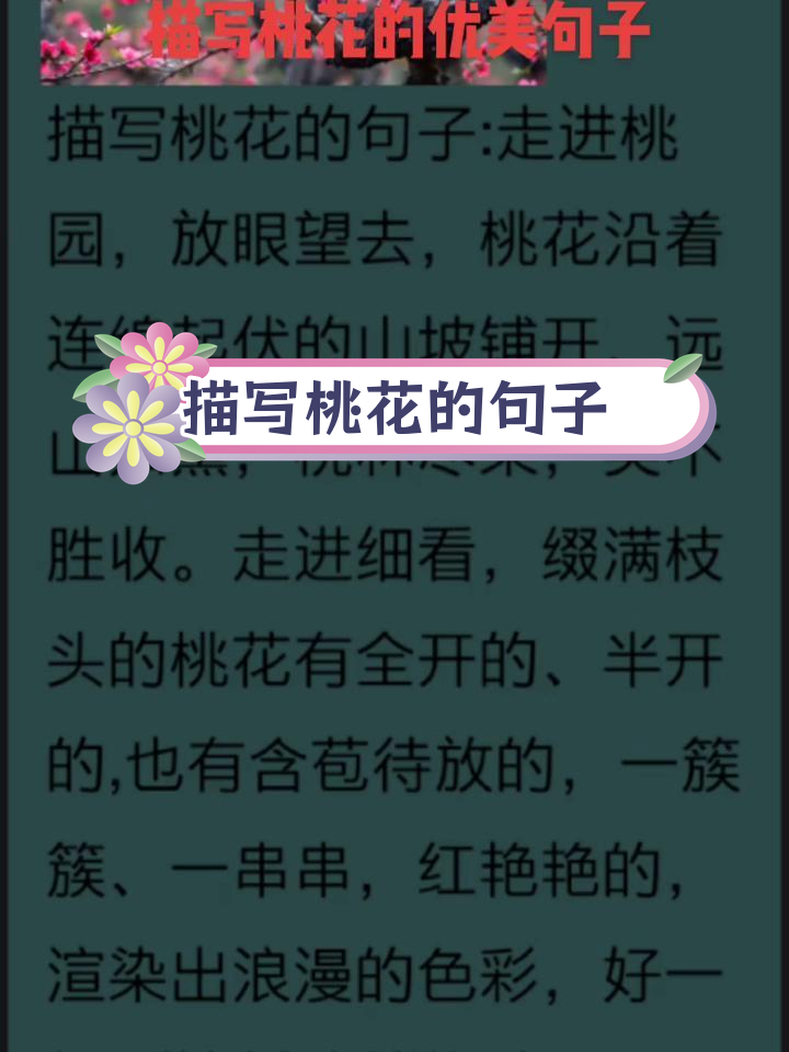 桃花盛开,春意盎然