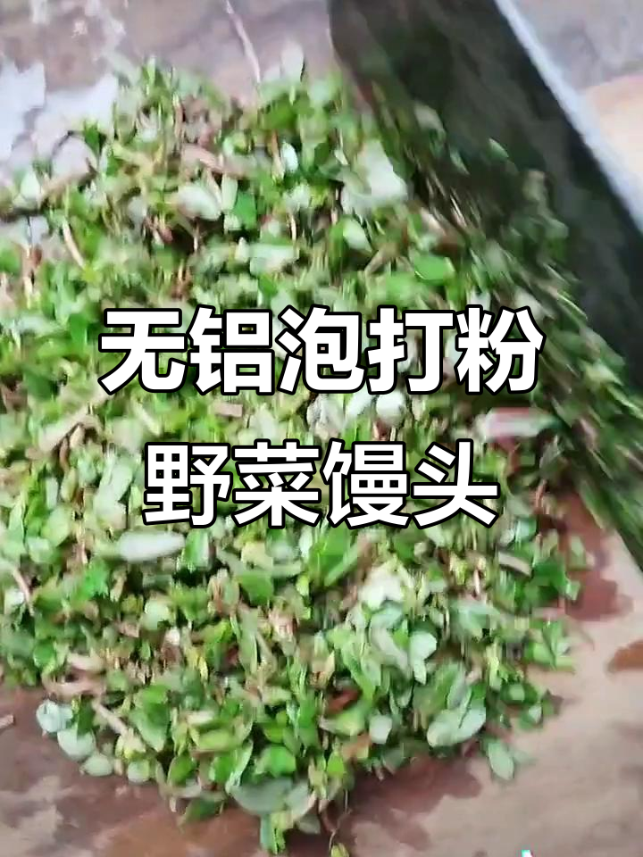 教你做无铝泡打粉的野菜馒头,步骤简单又美味