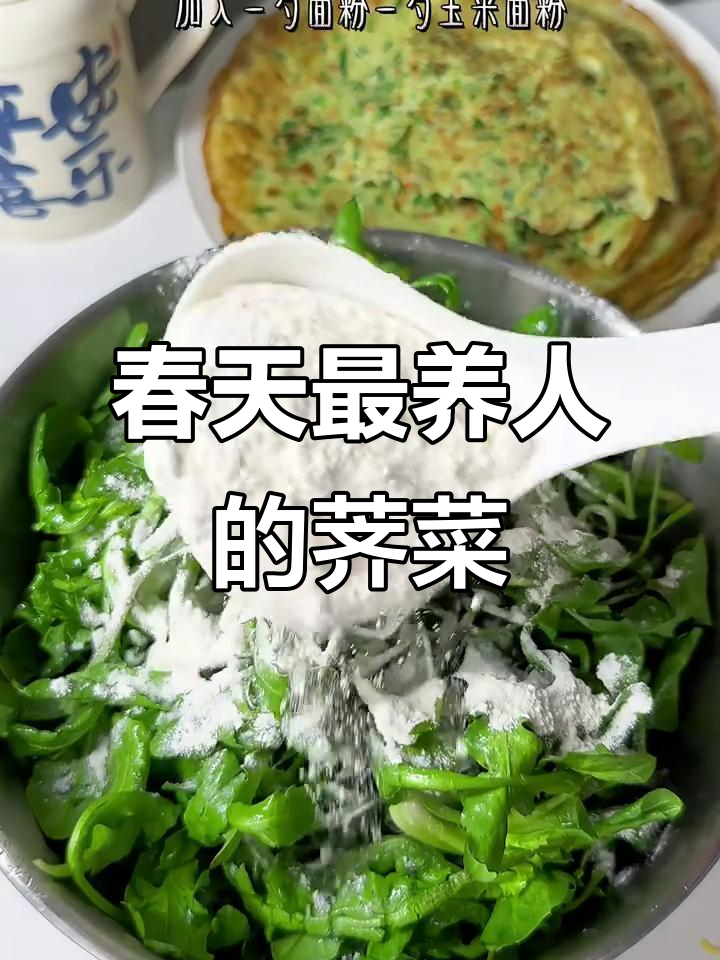 春天的野味荠菜,比牛奶还补钙的嫩芽