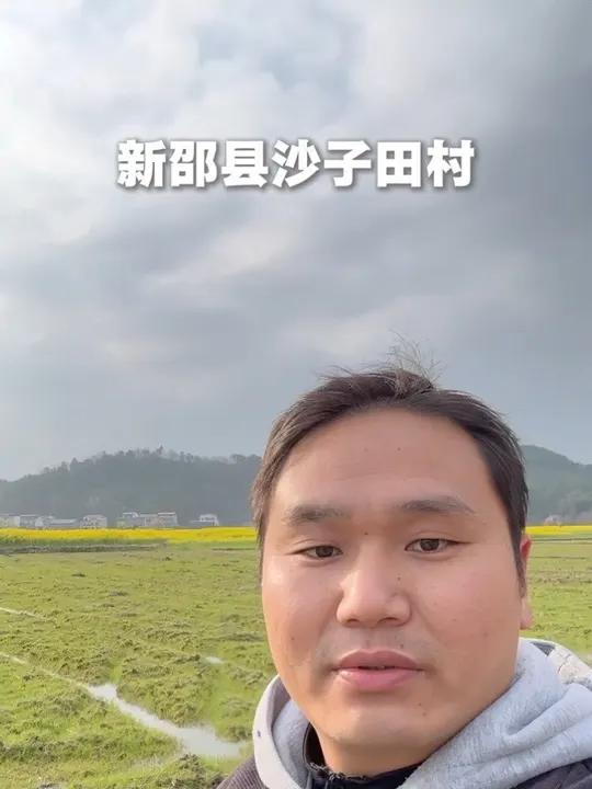 新邵县沙子田村油菜花开了 #邵阳周边#油菜花