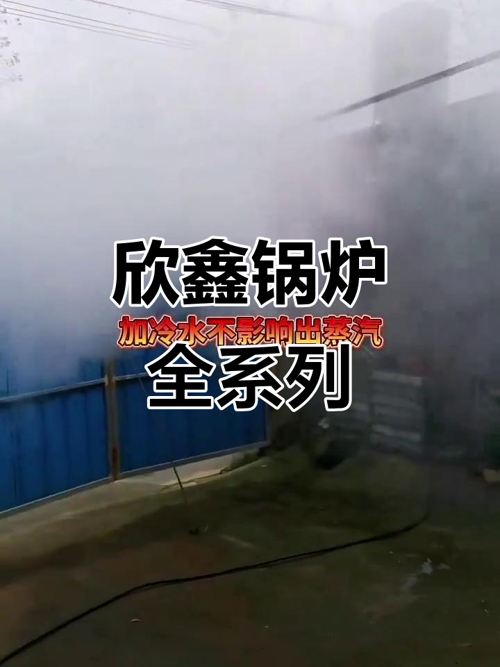 欣鑫锅炉:食用菌、酿酒、豆制品专用设备,蒸馒头也能轻松搞定