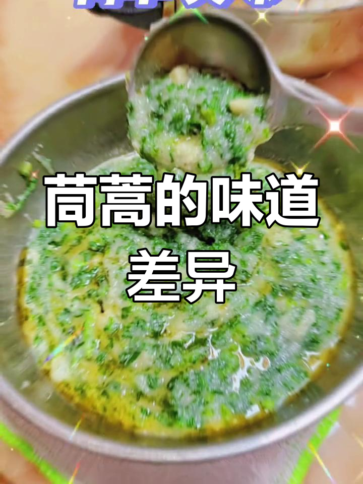 湖北茼蒿与广东皇帝菜,外形相似但味道大不同