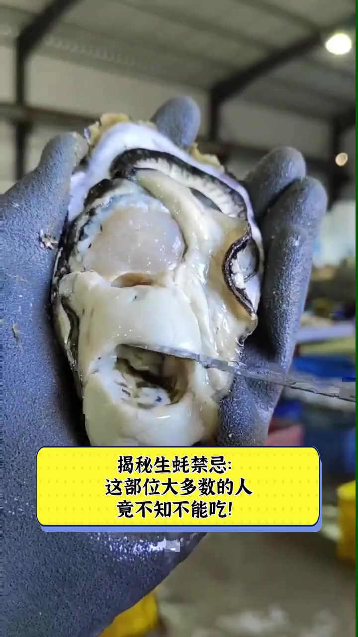揭秘生蚝禁忌:这部位大多数的人竟不知不能吃!