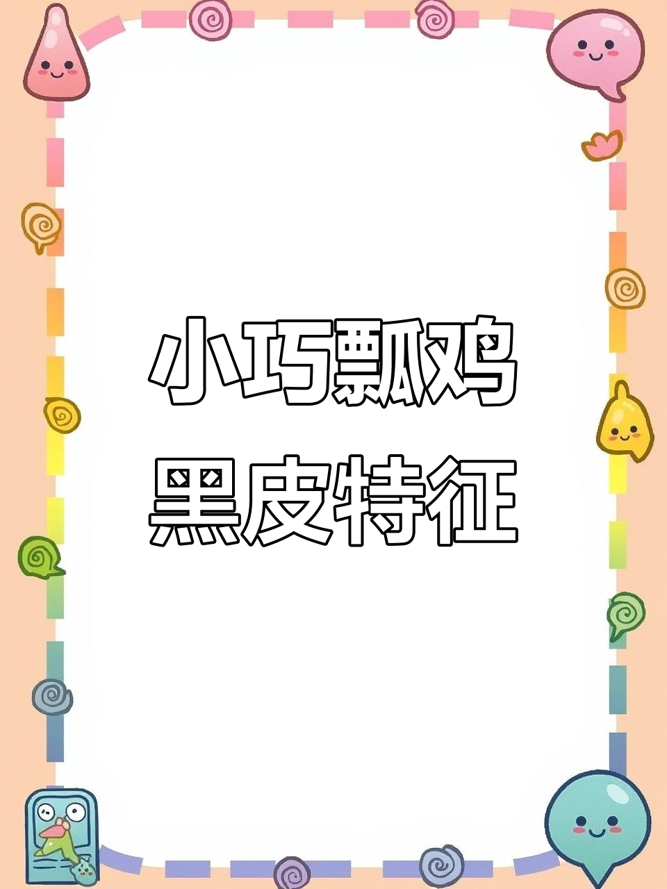 瓢鸡：小而紧凑，黑色皮肤与独特羽毛的魅力