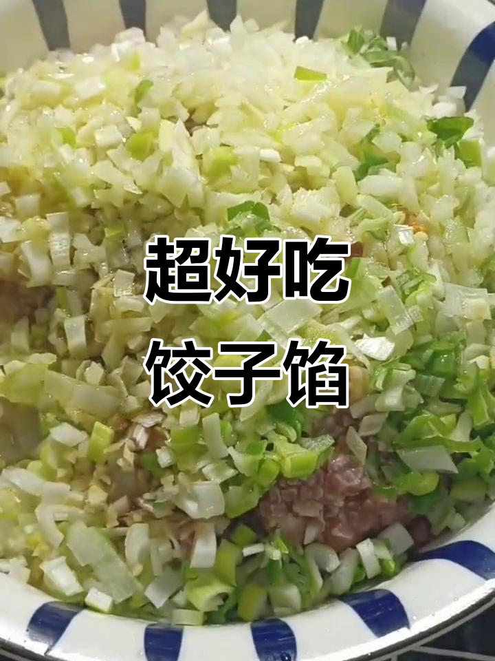 东北风味饺子馅,简单又美味!猪肉鸡肉虾仁搭配葱姜蒜