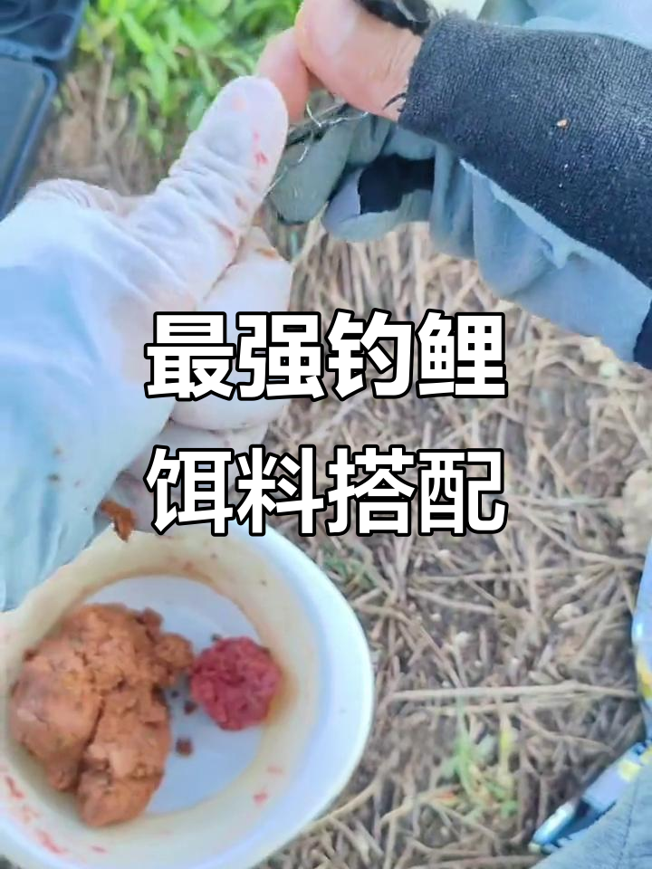 鲤鱼最爱饵料配方大揭秘,挑战水下摄像头效果