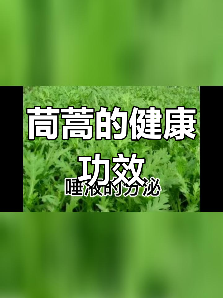 茼蒿的营养价值与健康益处