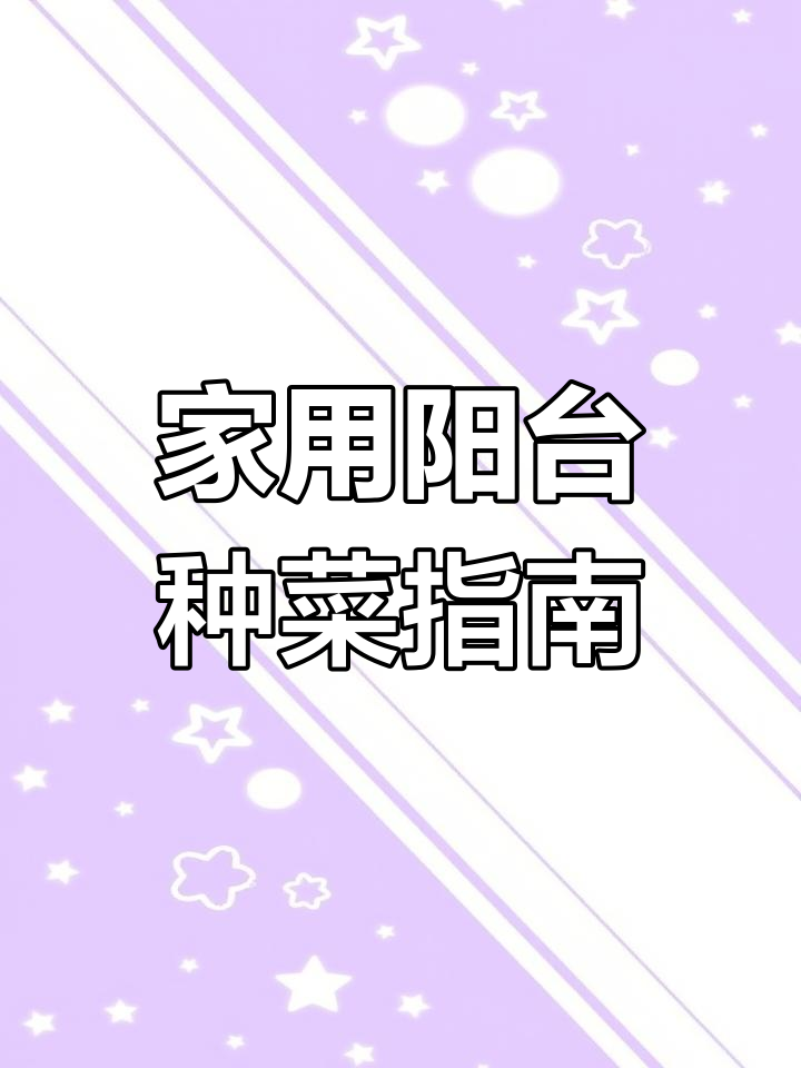阳台种植蔬菜推荐,这些品种最适合家庭环境