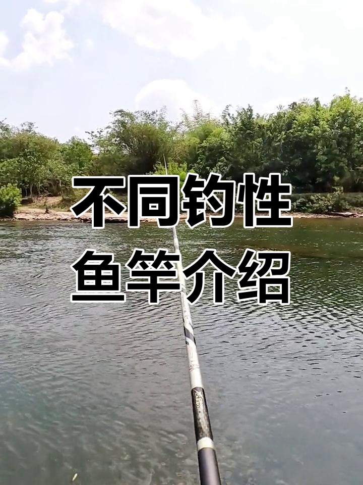 鱼竿调性全解析:超硬到软钓竿的分类与选择