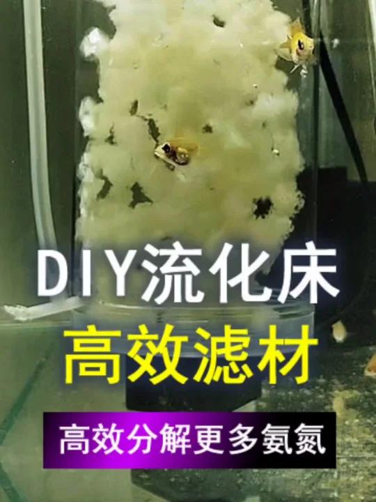 DIY自制高效鱼缸过滤神器,流化床过滤器